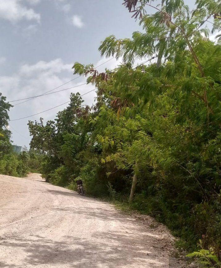 Nice Land Near the Center of Las Terrenas — photo 4