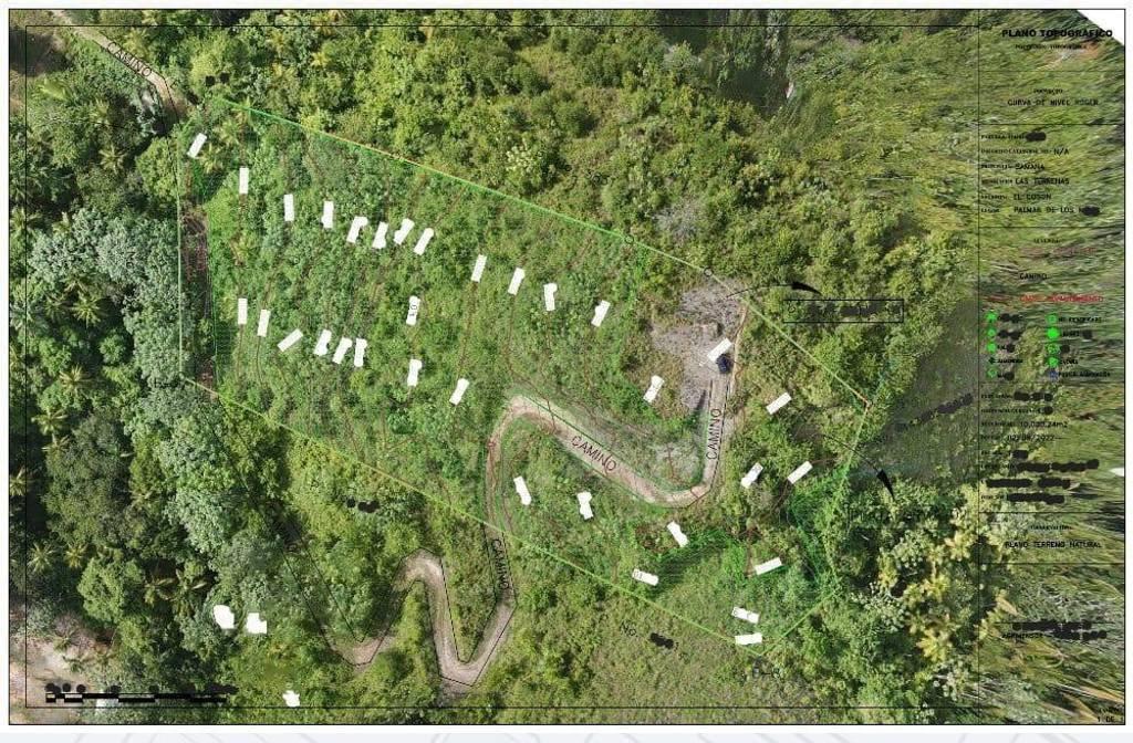 Prime 10,000 m² Ocean-View Development Land for Sale – Palmar de los Nidos, Near Playa Cosón, Las Terrenas — photo 4