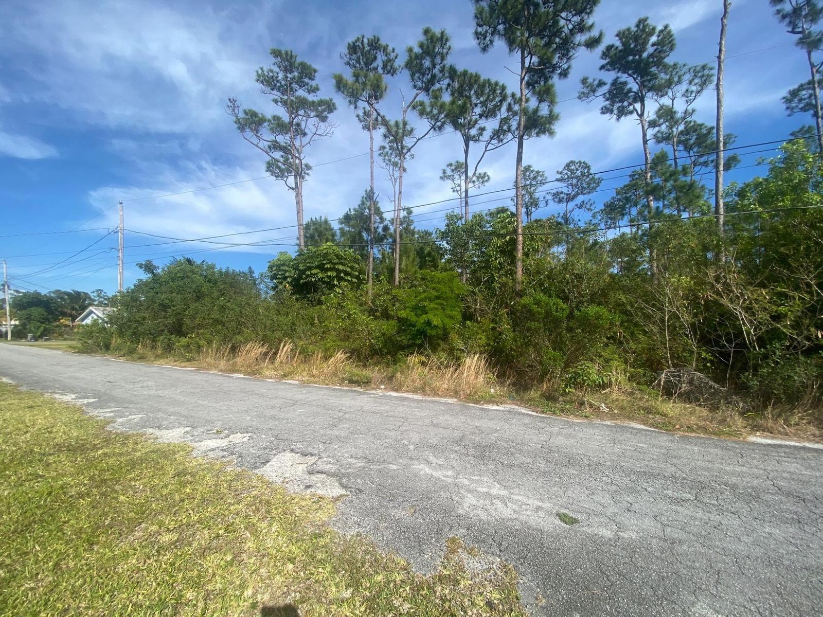 PEACOCK LANE — photo 4