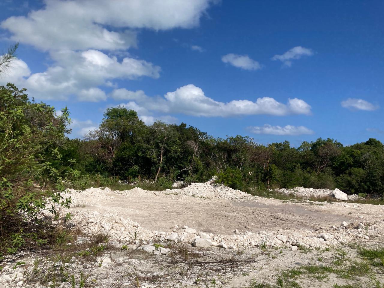 WELLFIELD STREET, Andros, The Bahamas — photo 5
