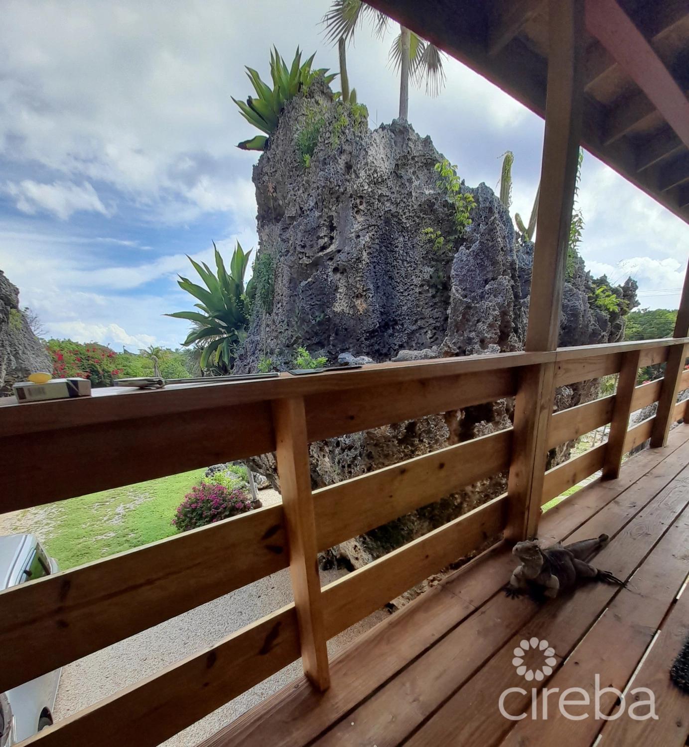 1 bedroom property for sale — Agave in the Cayman Islands — photo 4