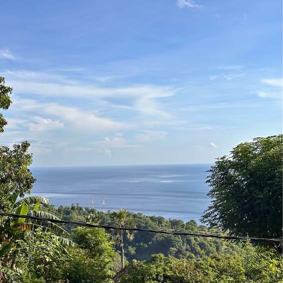 Studio house in Karangasem — photo 1