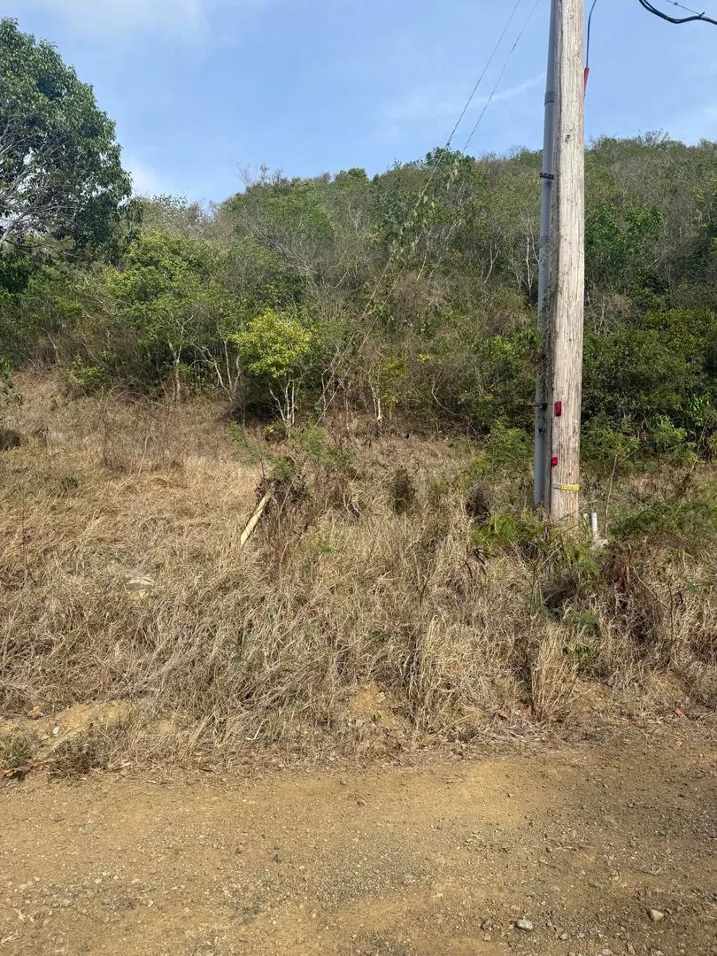 Homesite 23 Mt. Welcome Ea, St. Croix — photo 4