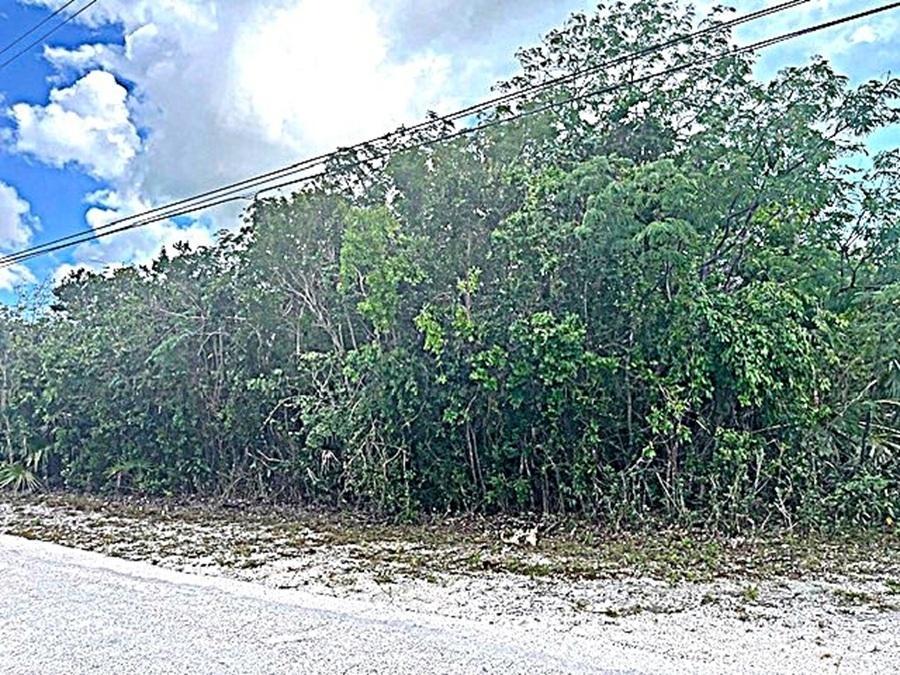 2 Acre Parcel — photo 1
