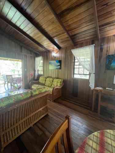 21-acre agricultural estate for sale in Talparo, Trinidad — photo 3