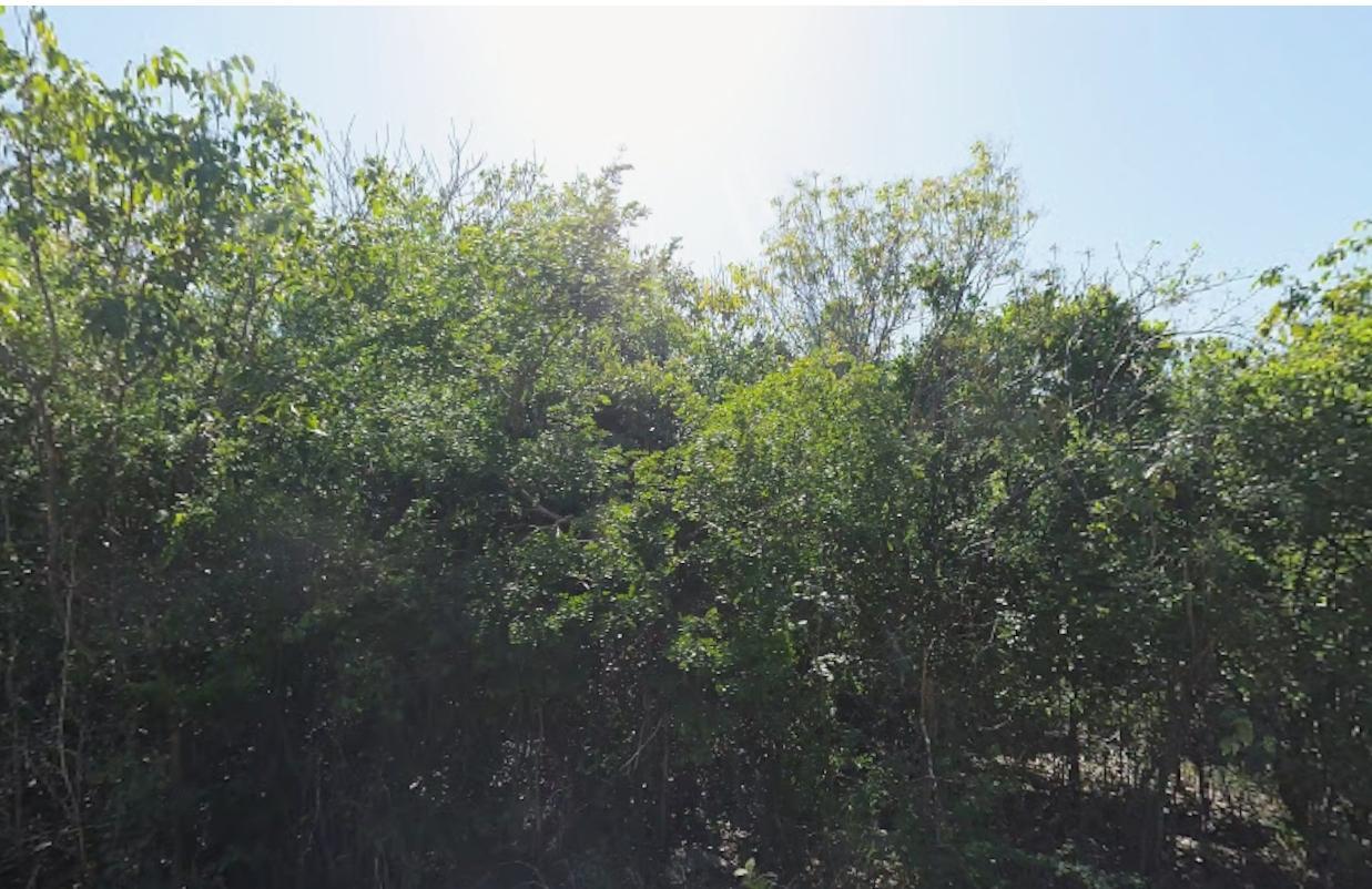 Lot 6922 BAHAMA SOUND EXUMA — photo 2