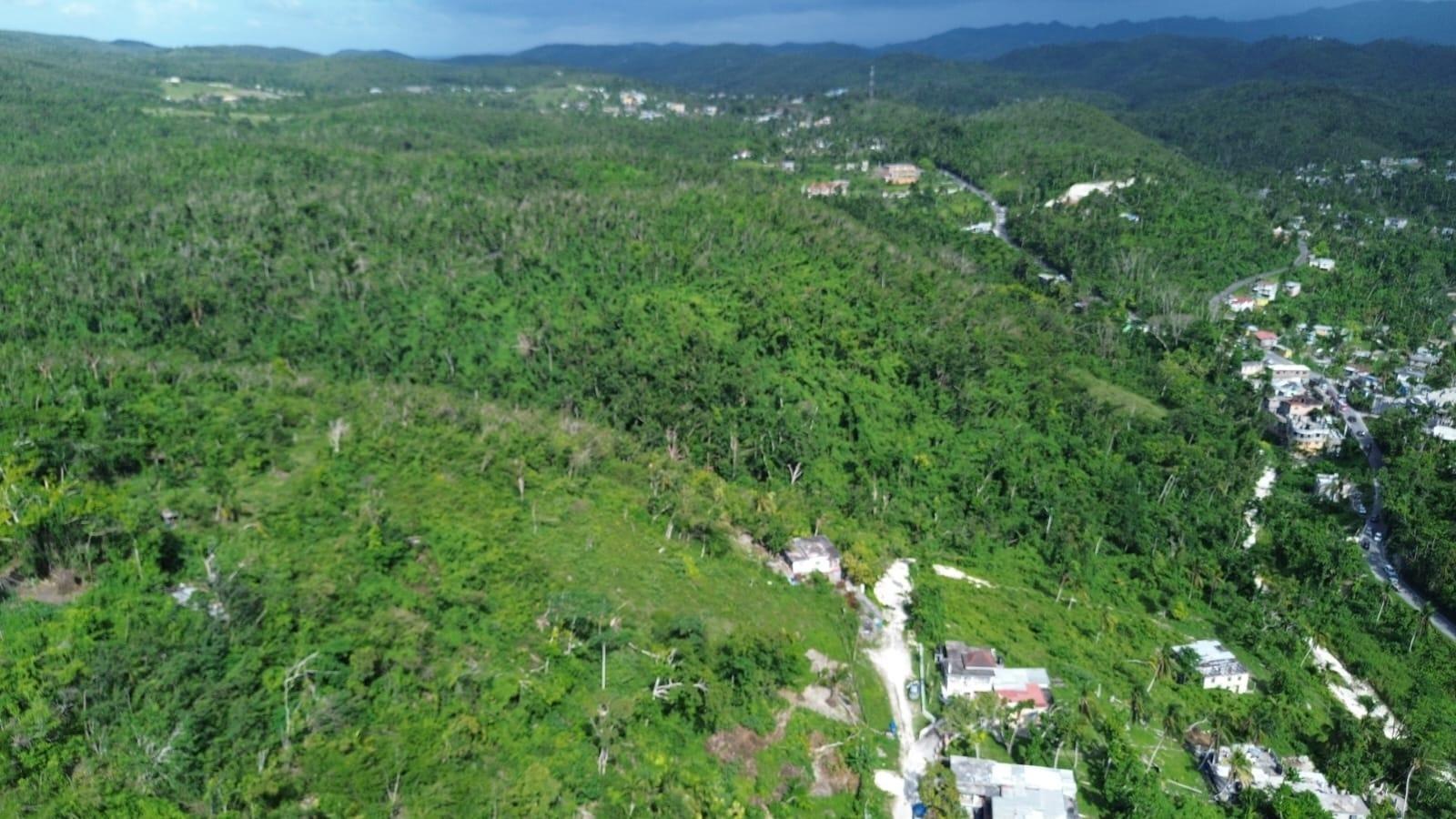 30 Acre Development Land for Sale, Glendale Heights, Montego Bay, St James, Jamaica — photo 4