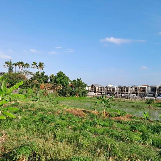 Studio house in Badung, Bali, Indonesia — photo 1