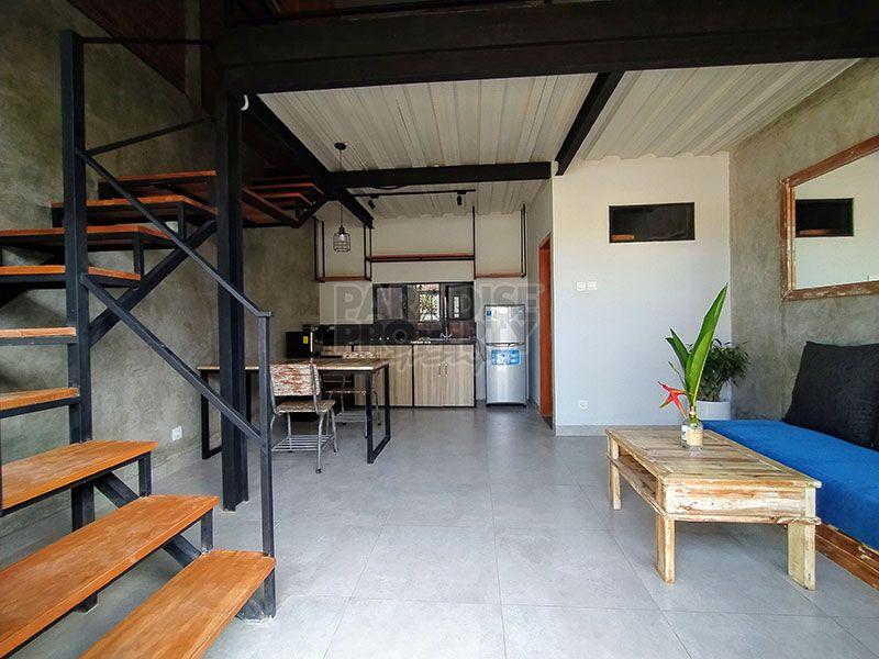 Brand New Loft Style Townhouse — photo 3