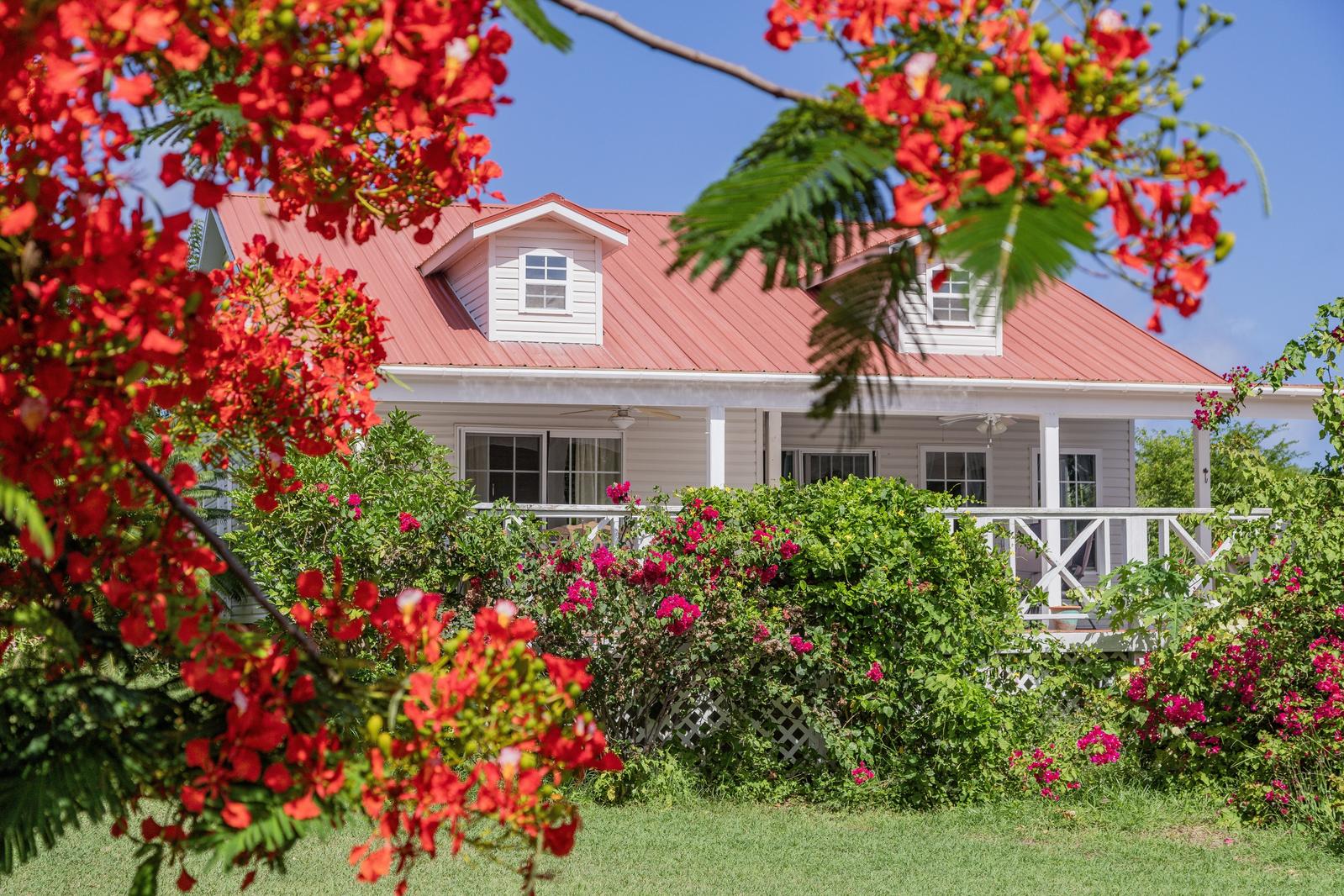 Indian Creek, Piccadilly, Antigua — photo 1