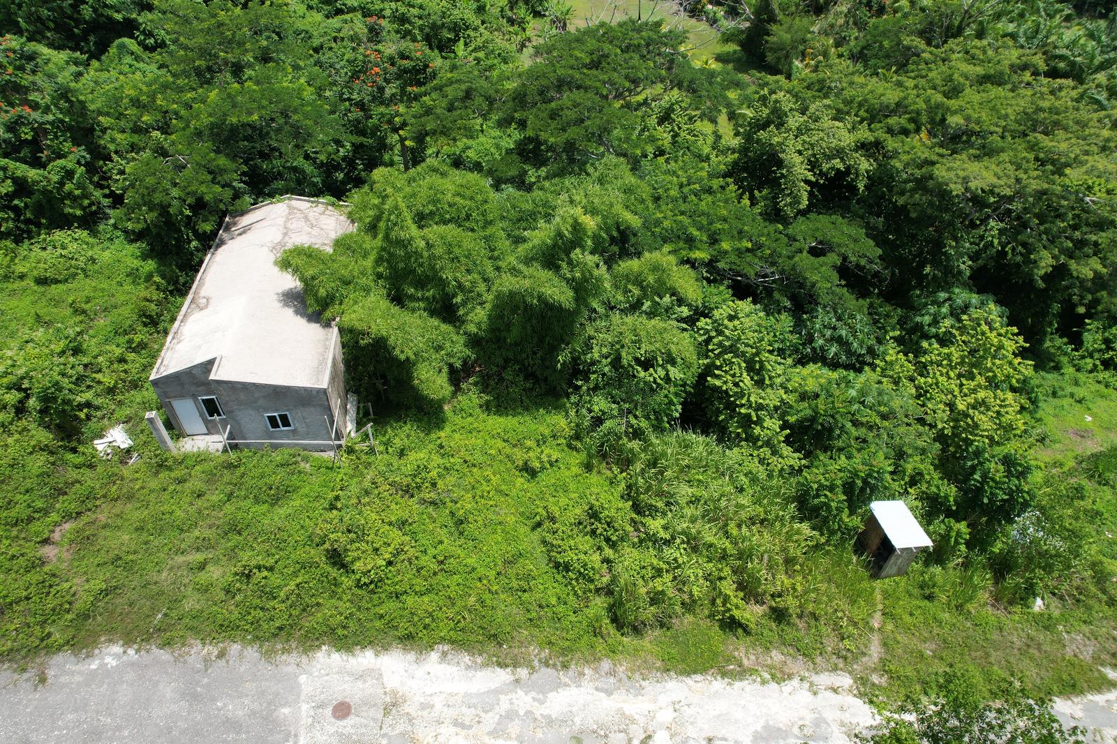 Haughton Court Lucea, Hanover — photo 4
