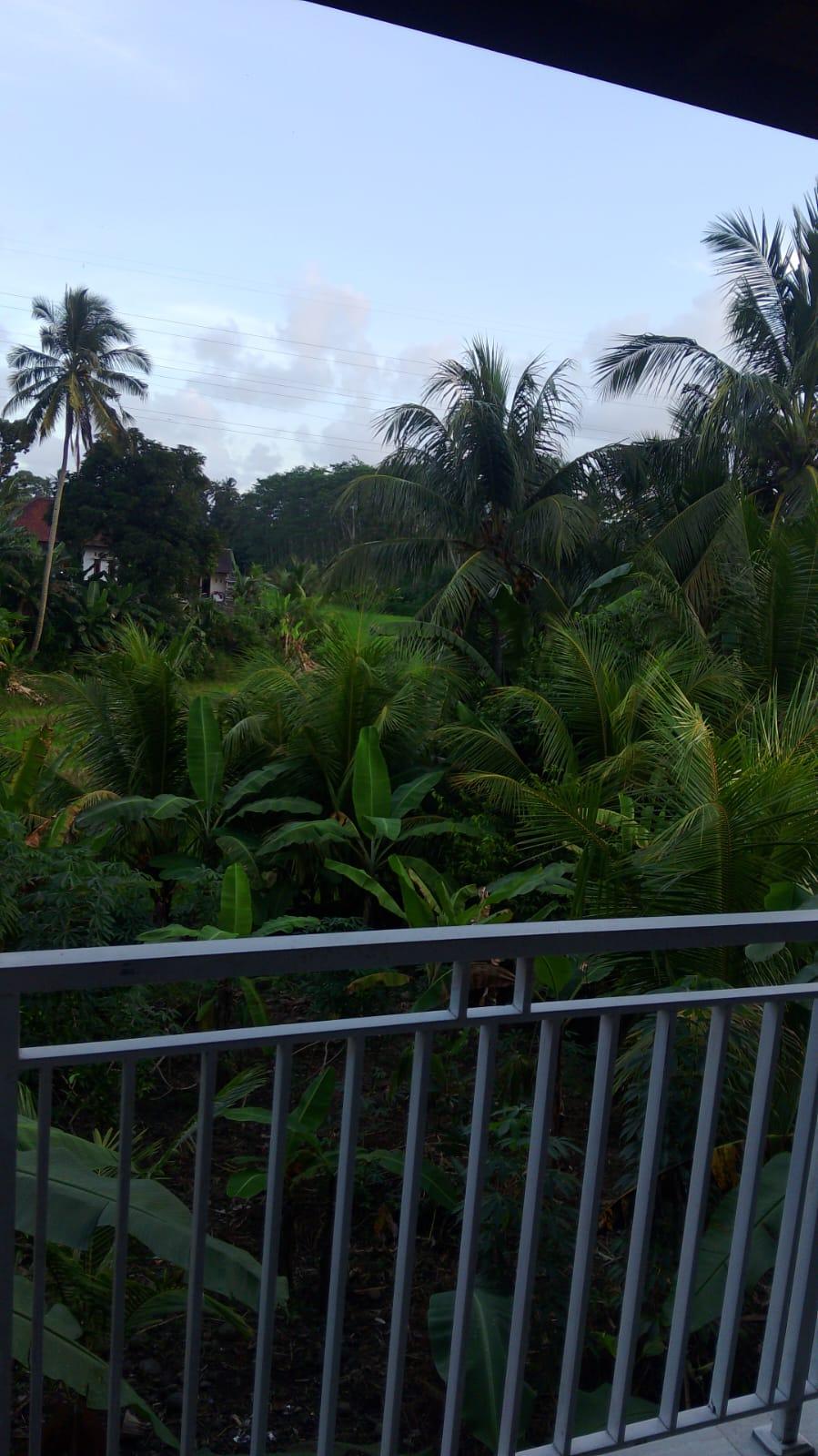 LAND FOR SALE WITH A BUILDING INCLUDED — photo 4