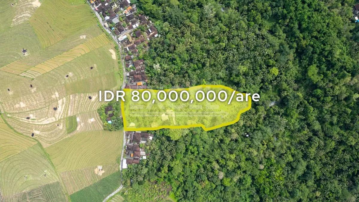 1.18 Ha Freehold Land for Sale in Tabanan with Jungle & River Views — photo 1