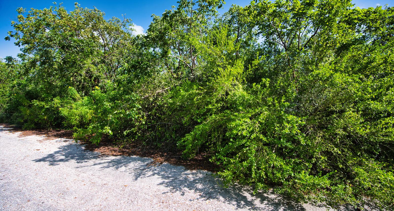 Cayman Brac Inland Parcel - Owner Financing Offered — photo 3