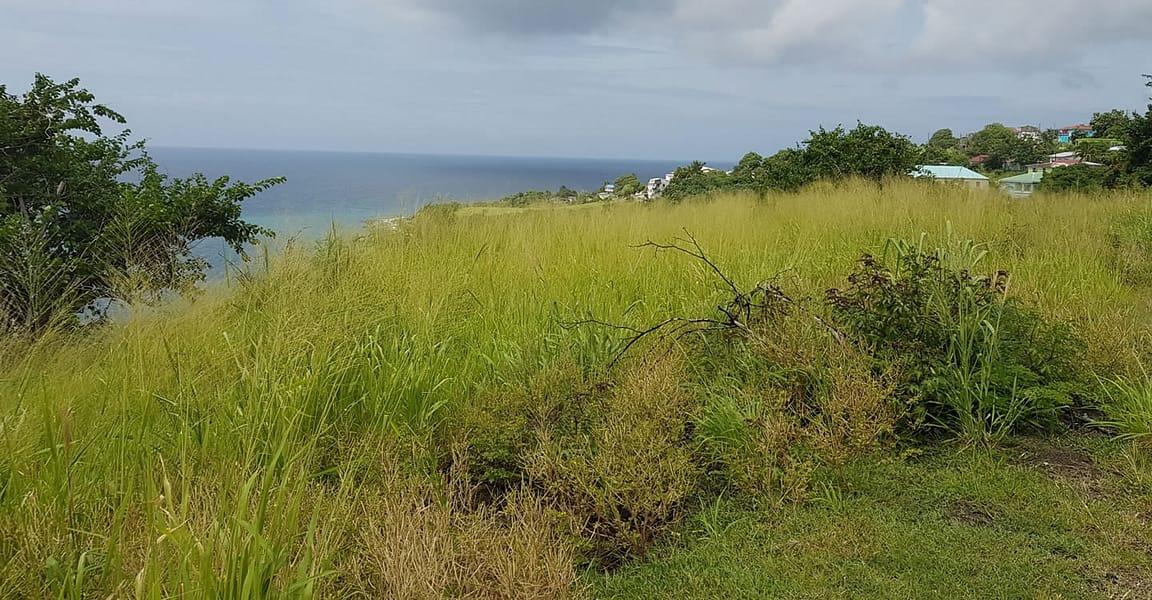 5 Acres of Development Land for Sale, Palmetto Bay, St Kitts — photo 2