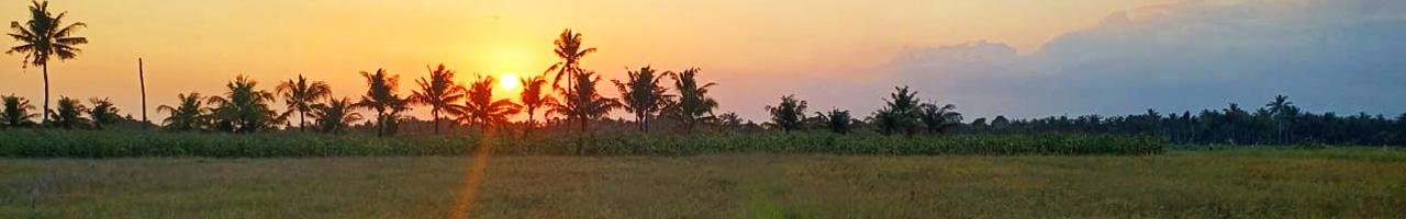 Vast 52.7 ARE Leasehold Land with Stunning Natural Views in Tabanan — photo 2