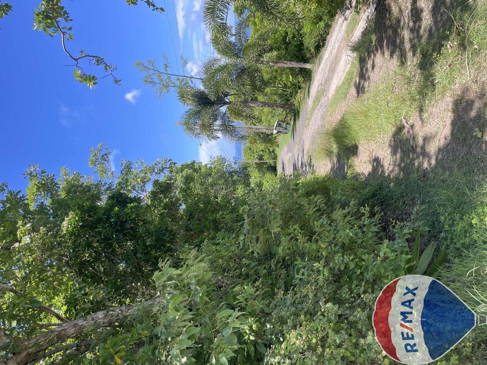 Panoramic Perfection: 25,032 Sq. Ft. of Prime Land on Morne Beausejour — photo 4