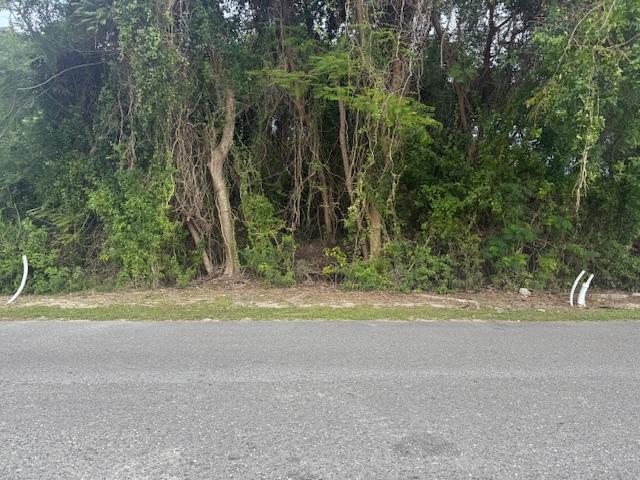 Sunrise Drive Land Parcel in Nassau — photo 1