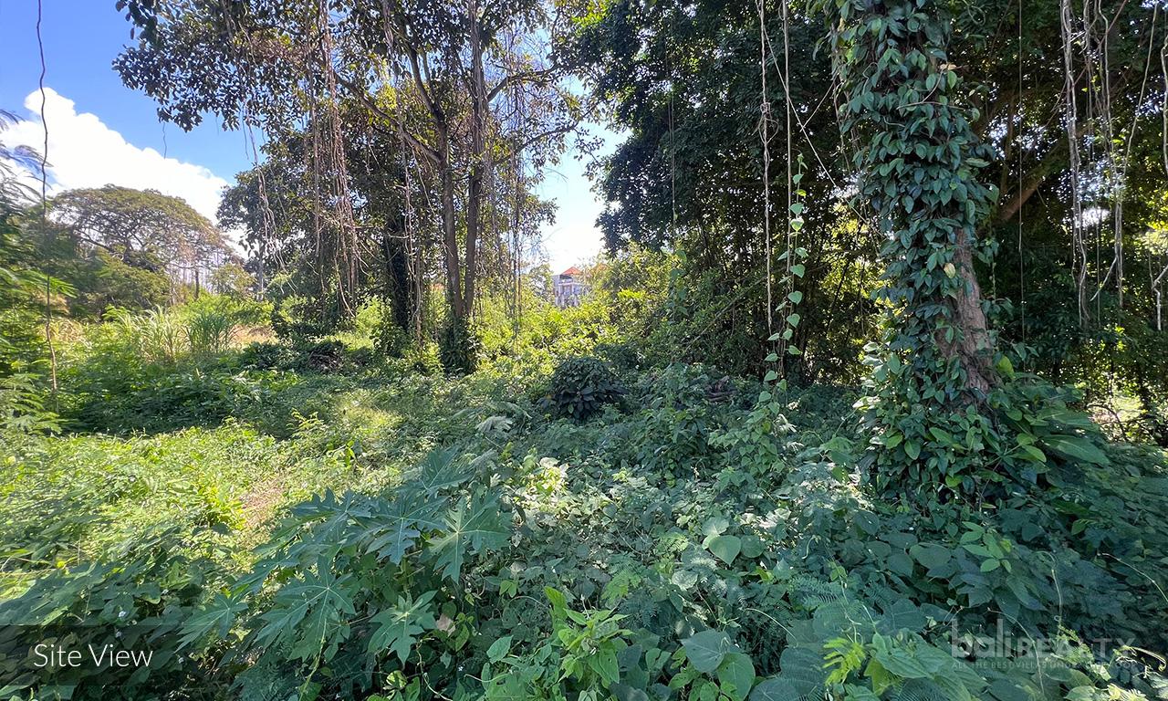 Premium Investment: 3710 sqm Freehold Riverfront Land in Padang Galak, Sanur — photo 5