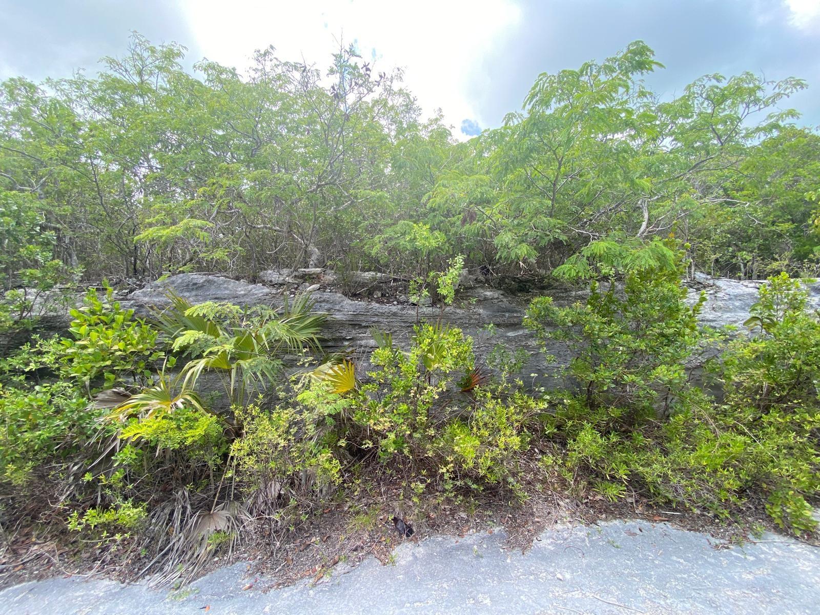 Stella Maris Serene Hilltop 0.33 Acre Lot — photo 3