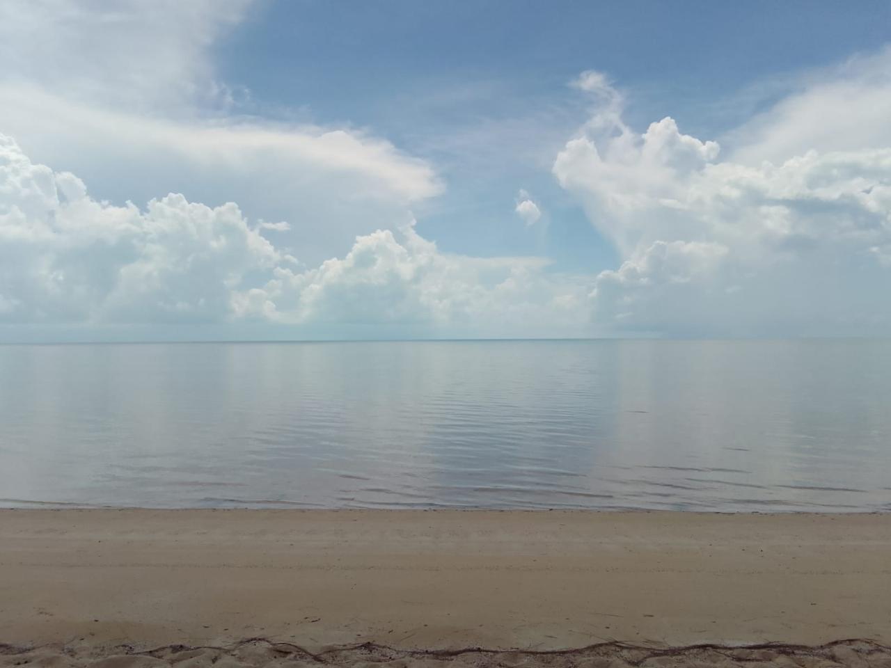 ALLIGATOR BAY — photo 4