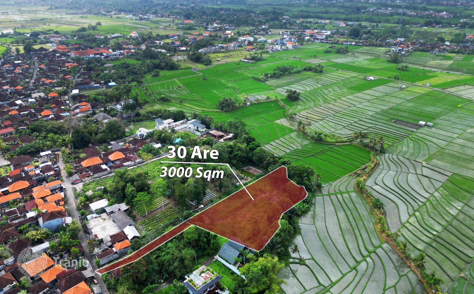 Residential land plot 3,000 m² in Beraban — photo 3