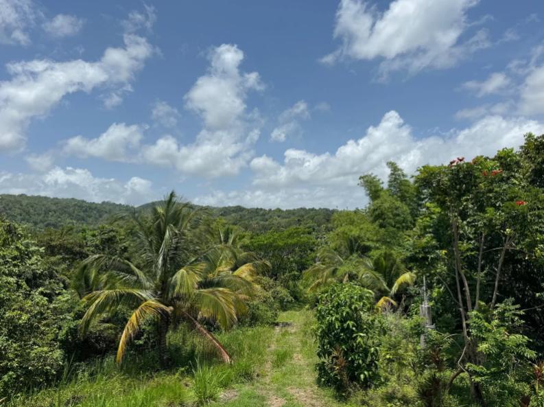 7.13 Acre Lots — photo 4