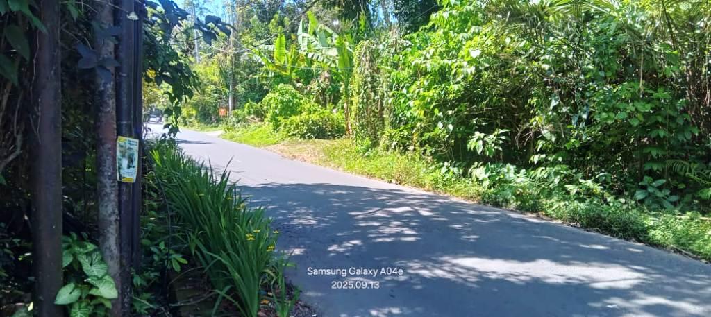 Land for Lease – Main Road Frontage in Payogan, Ubud — photo 2