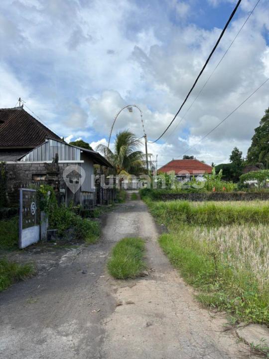 Land plot for sale in Ubud, Bali — photo 2