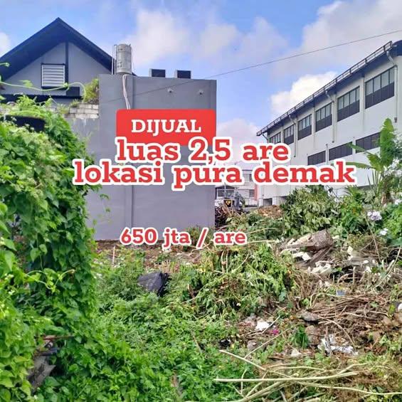 Studio house in Denpasar — photo 1