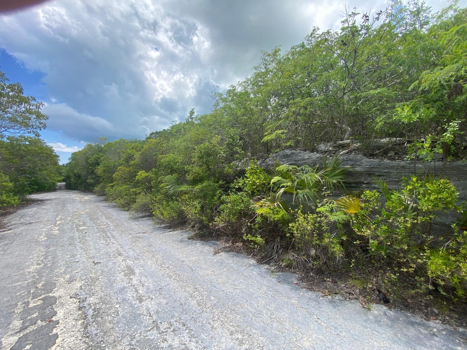 Stella Maris Serene Hilltop 0.33 Acre Lot — photo 1