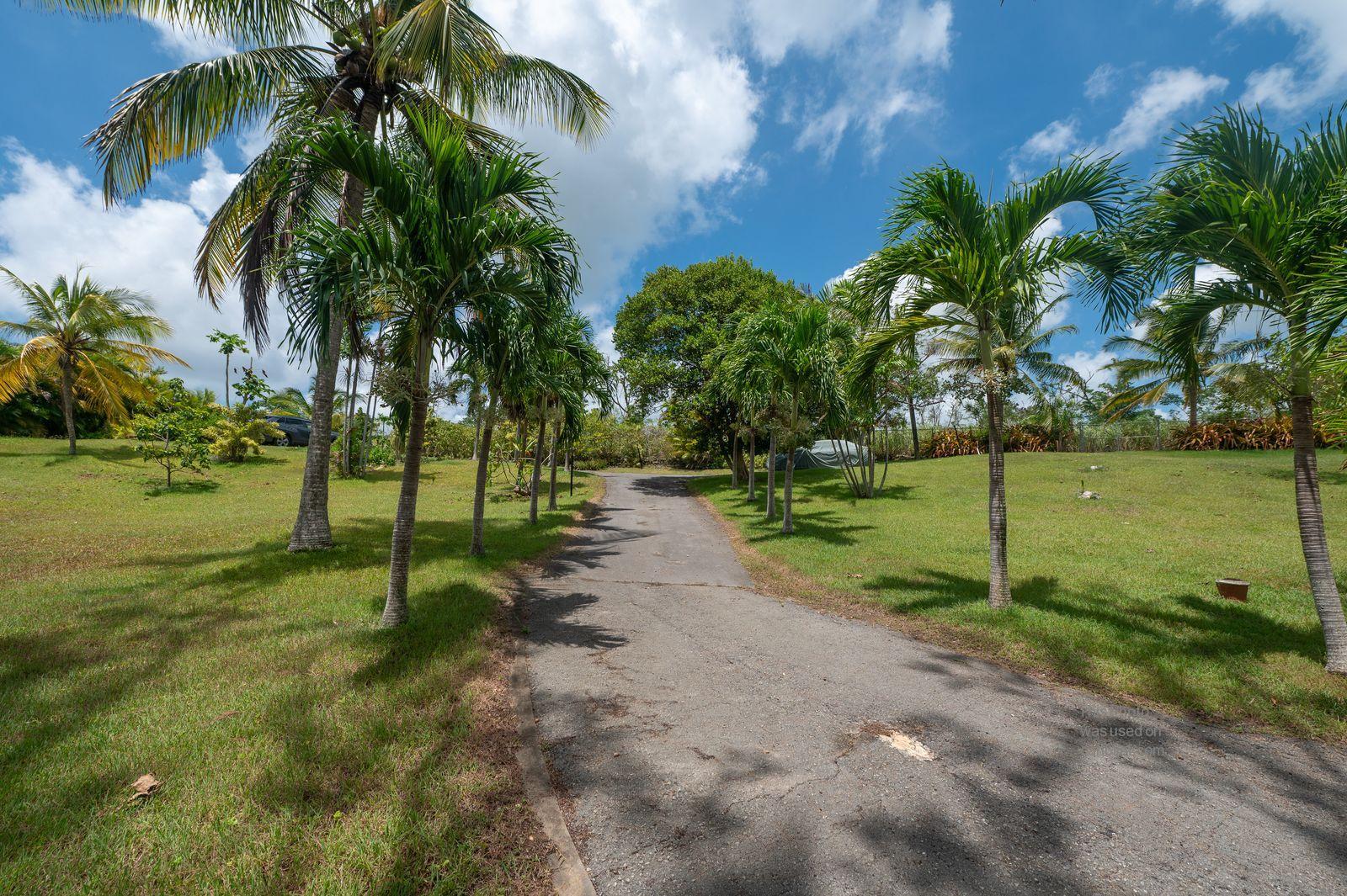 5 Bedroom Villa for Sale in Bannatyne, Christ Church, Barbados — photo 3