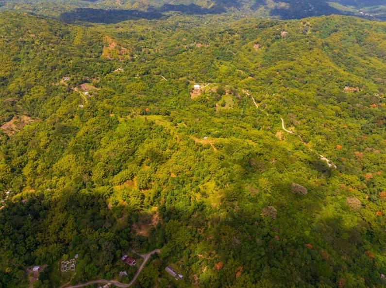 Lewisburgh 37 Acre Lot in Jamaica — photo 4