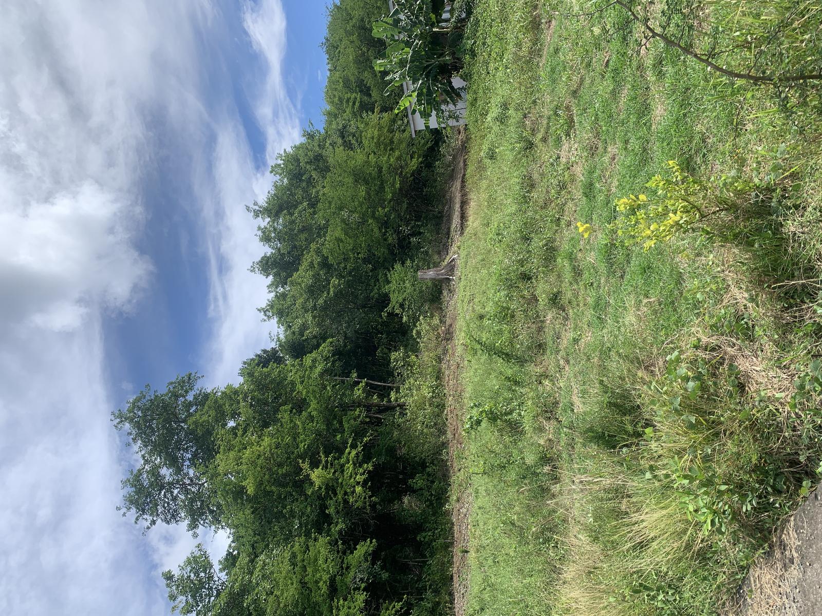 Affordable Land with Views in Growing Monchy Neighbourhood — photo 5