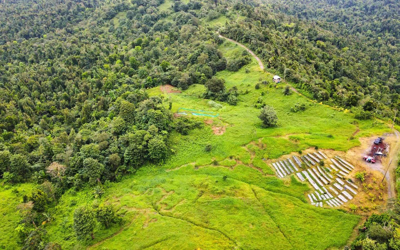 6.34 Acres of Land for Sale, Pond Casse, Saint Paul, Dominica — photo 1