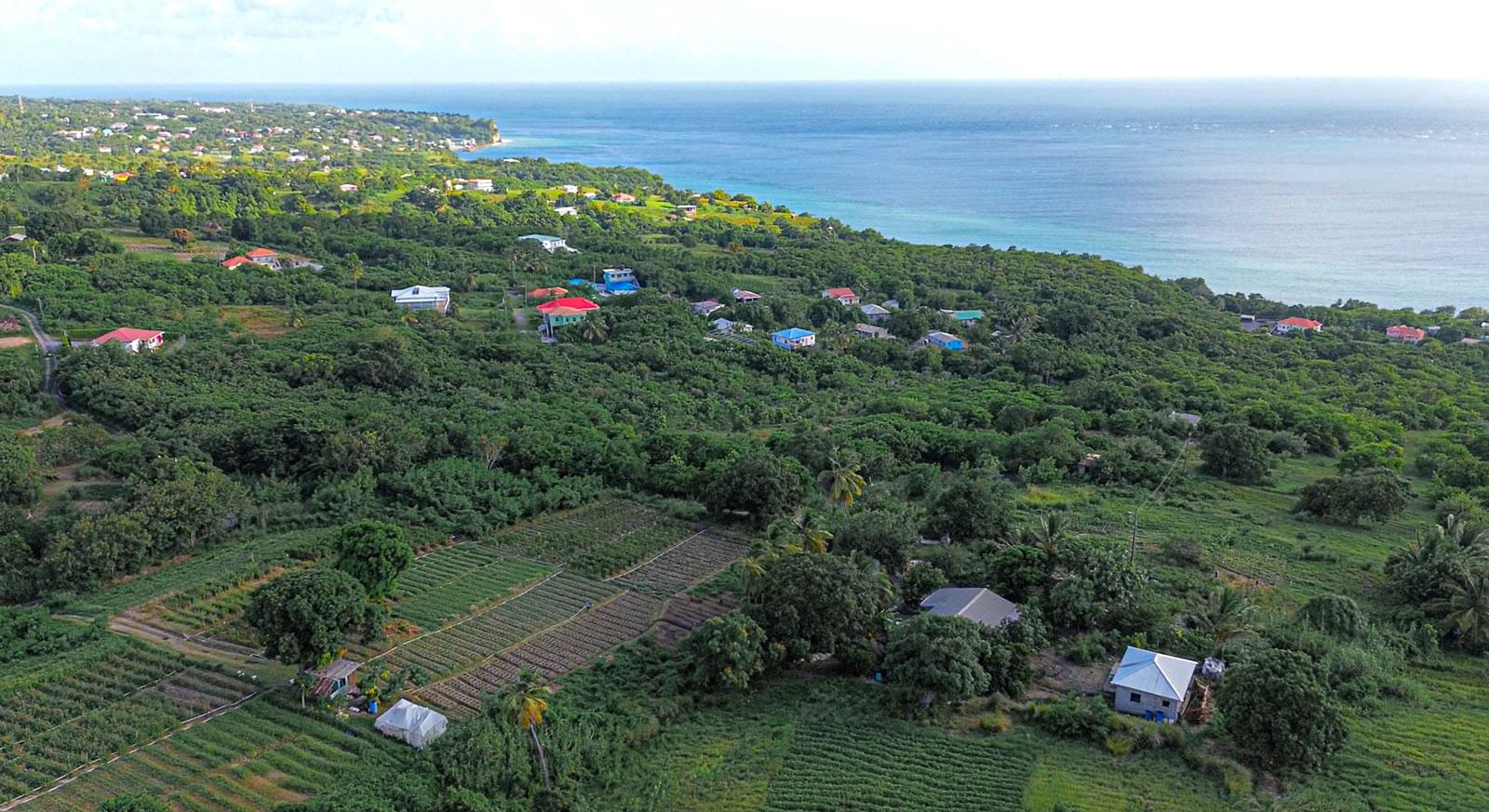 2 Bedroom Villa for Sale, Choiseul, St Lucia — photo 3