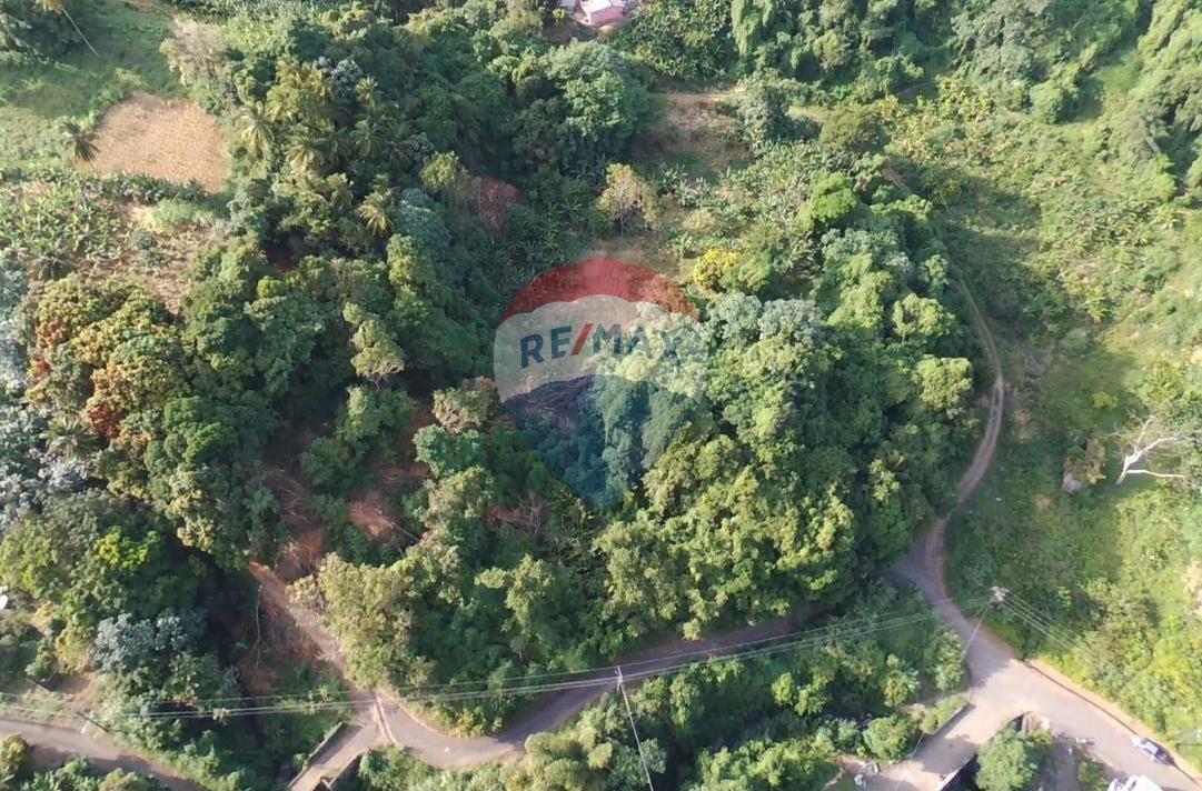 NEW ADELPHI ACREAGE — photo 1