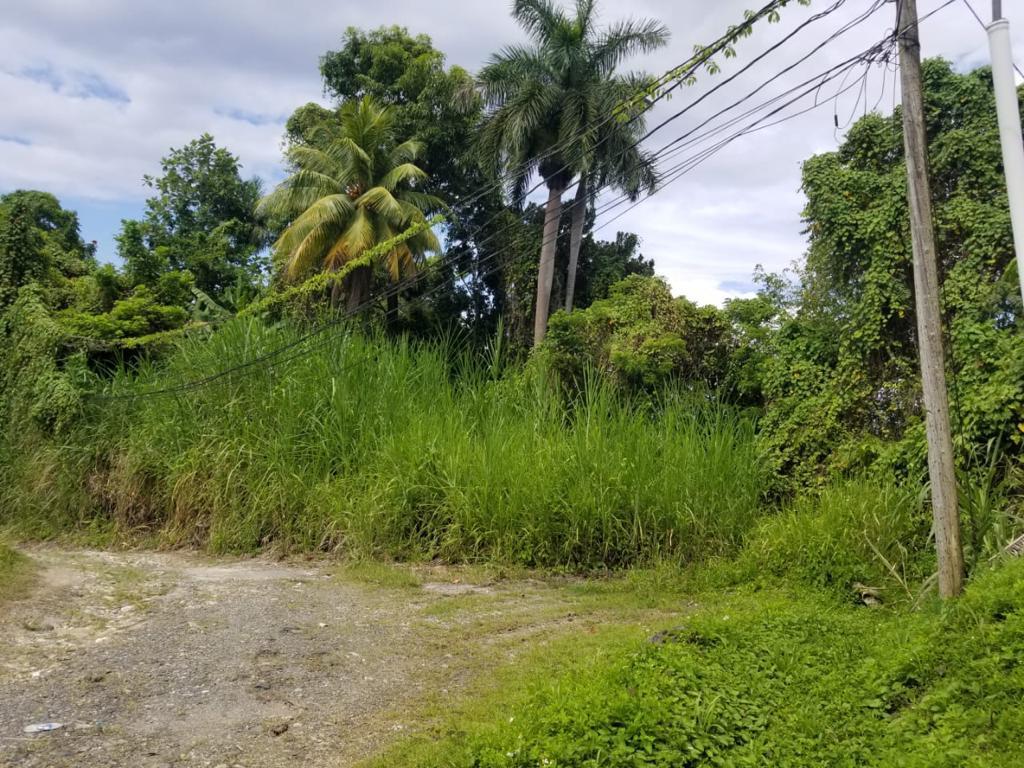 Boundbrook Heights Residential Land — photo 2
