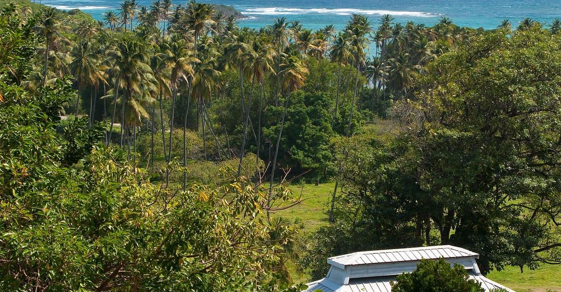 12.4 Acre Boutique Hotel for Sale, Spring Estate, Bequia — photo 1