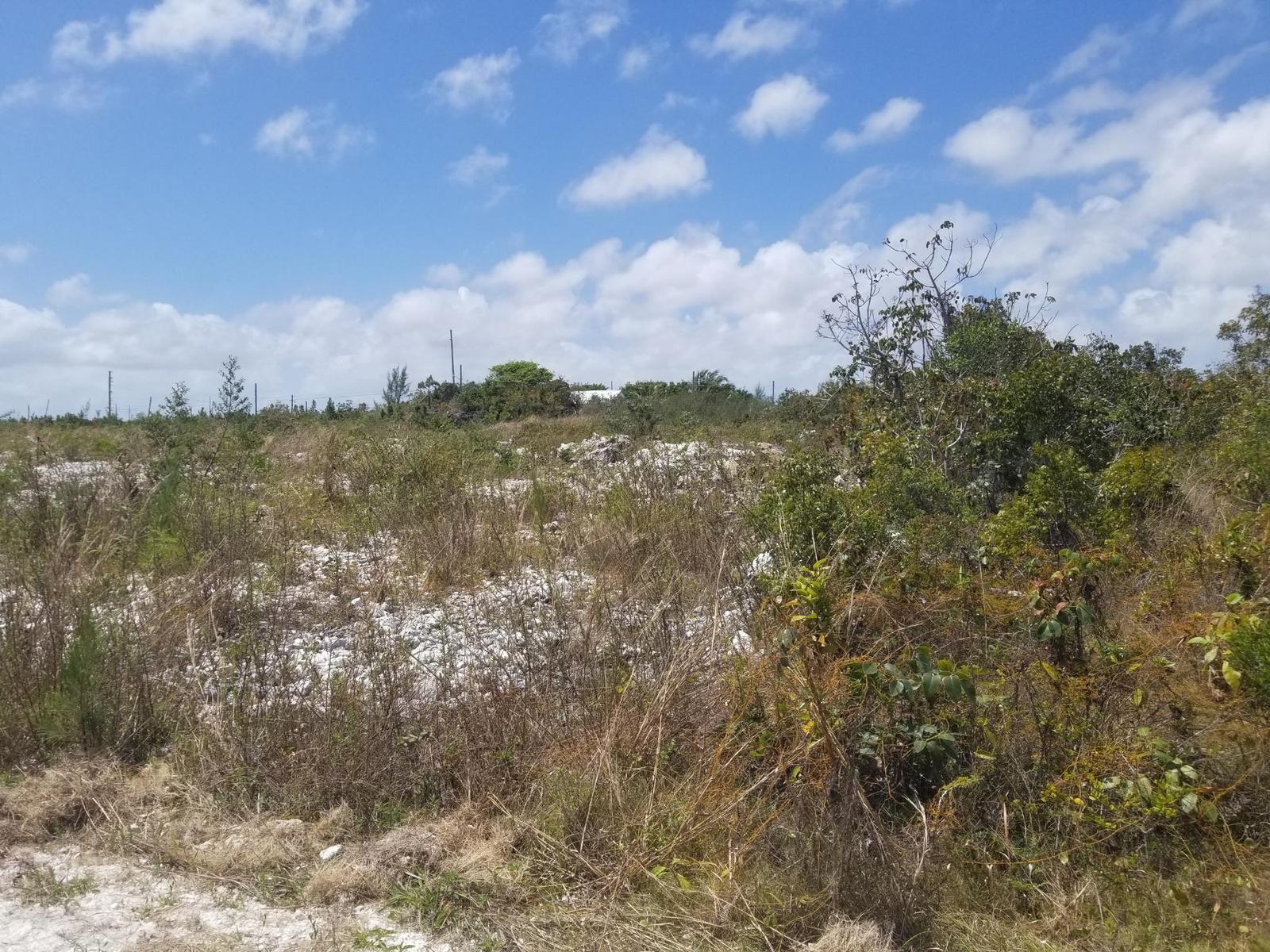 SWEETINGS VILLAGE — photo 3