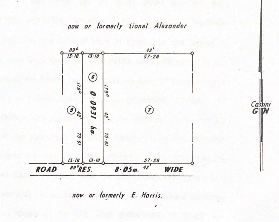 APPROVED SANGRE GRANDE LAND FOR SALE - JEEBODE ROAD, off QUASH TRACE (10,021 sq ft) — photo 3