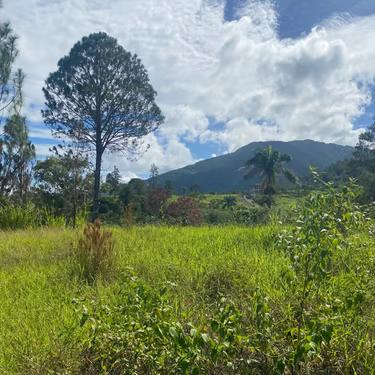 Terreno en Venta, Pedregal Jarabacoa - 1996 Metros — photo 3