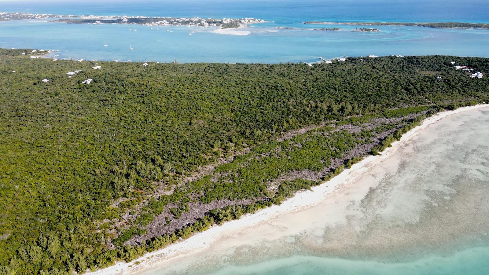 LUBBERS SEA TO SEA ESTATE — photo 1
