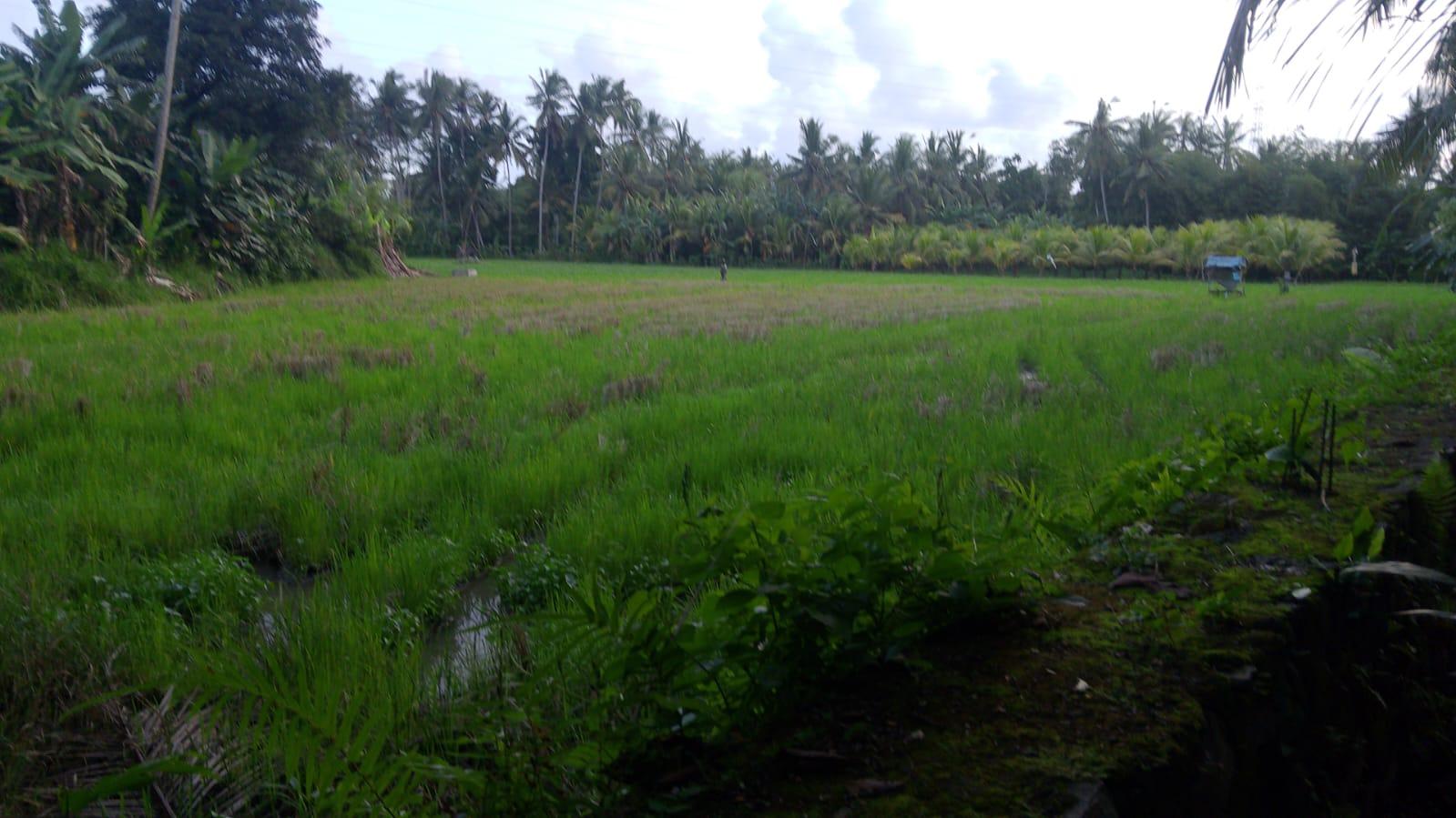LAND FOR SALE WITH A BUILDING INCLUDED — photo 1