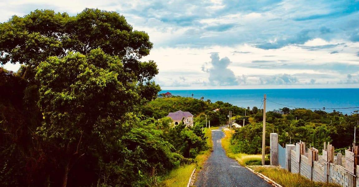 0.51 Acre Lot for Sale in Anchor, Culloden, Westmoreland, Jamaica — photo 4