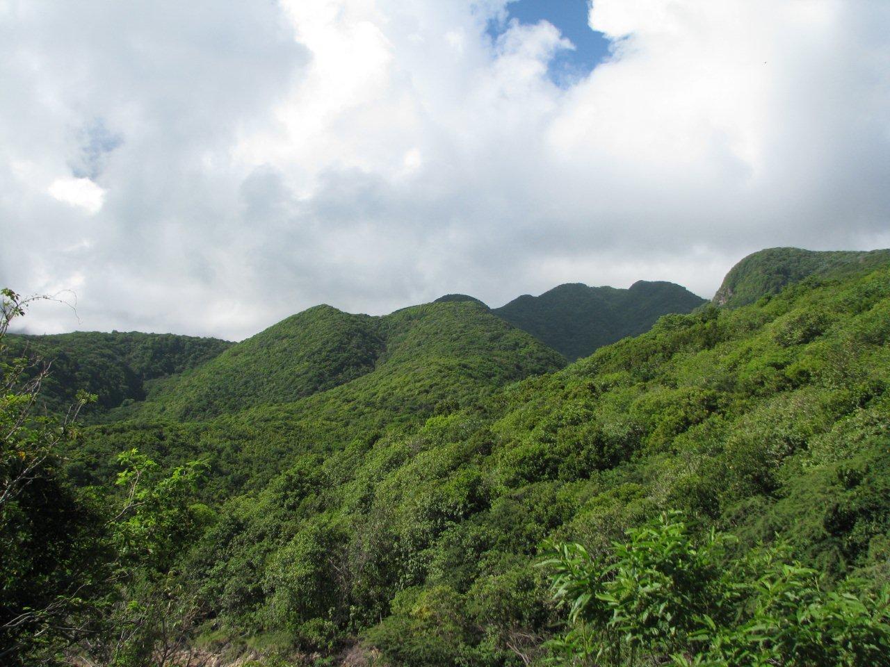 668 Acres of Pristine Land for Sale, Montserrat — photo 3
