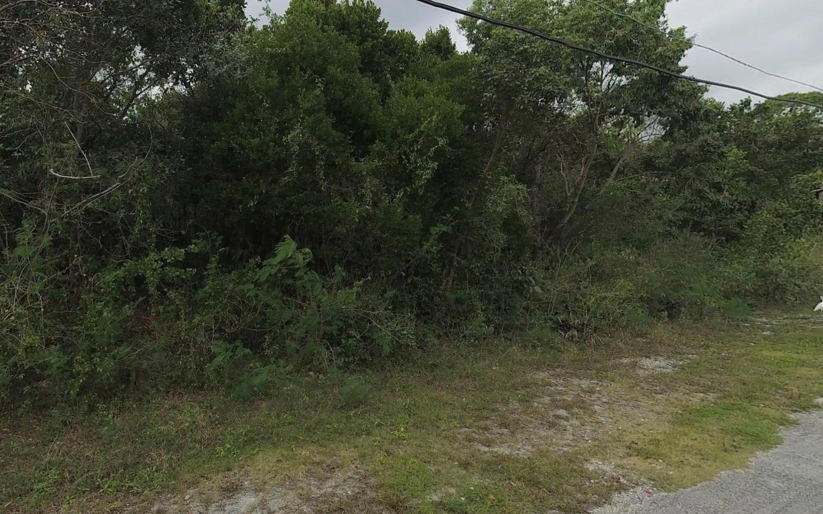 29 CONGO TOWN SOUTH ANDROS — photo 3