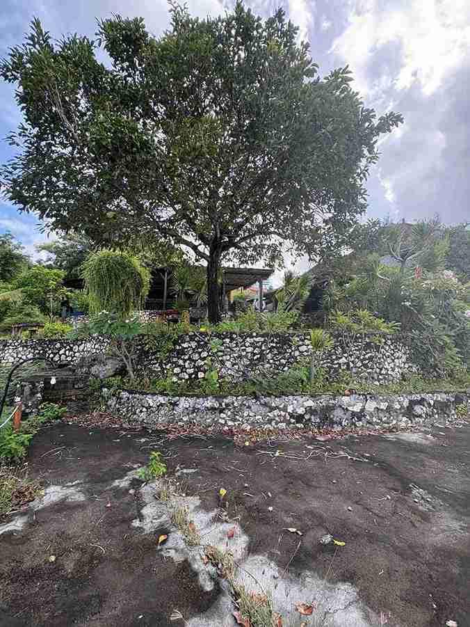 Exclusive Beachfront Land for Sale in Nusa Penida — photo 1
