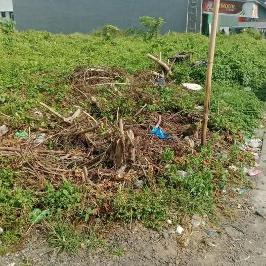 Land for sale in Denpasar — photo 1
