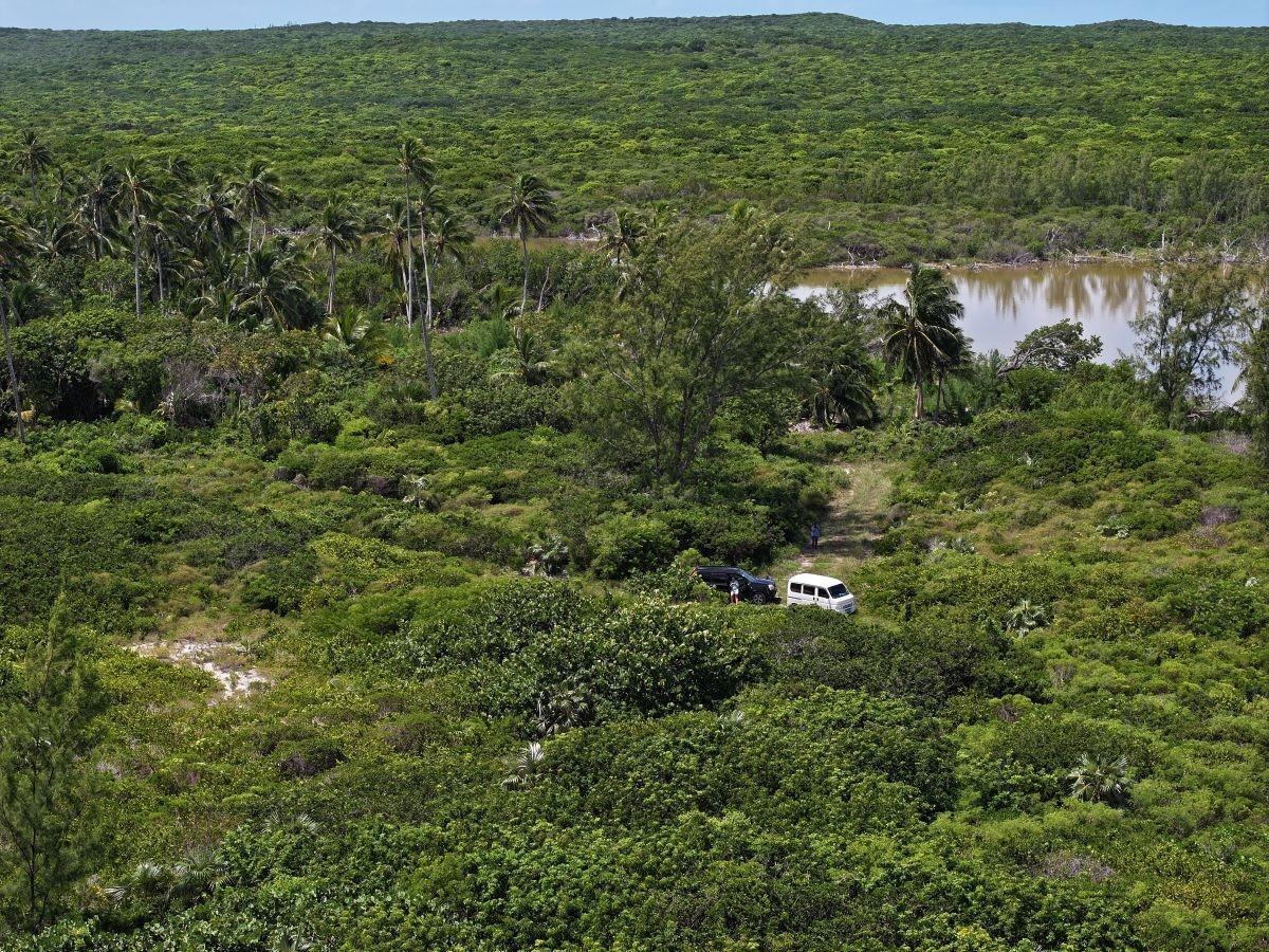 DARNOTTS POND ELEUTHERA — photo 5
